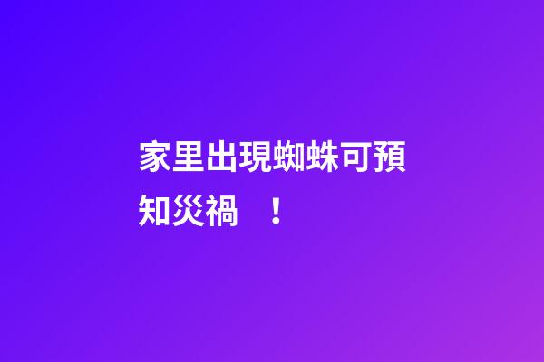 家里出現蜘蛛可預知災禍！